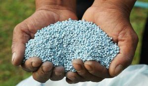 صادرات کود کشاورزی ممنوع شد