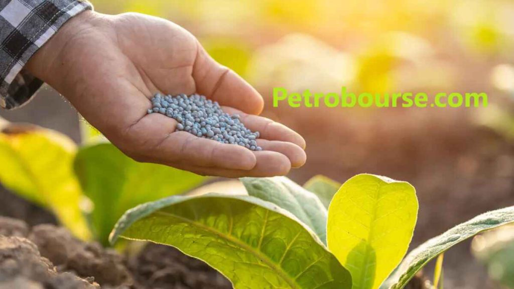 مراحل تولید اوره