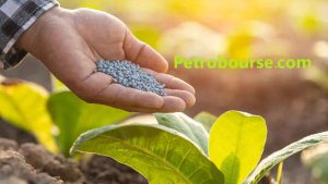 مراحل تولید اوره